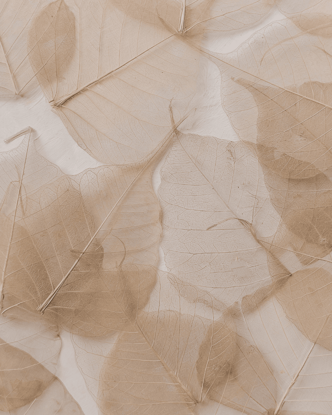 Mindful leadership practice